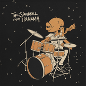 Lipphead: The Squirrel From Ipanema