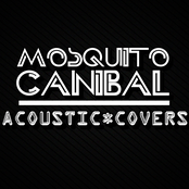 Acoustic Covers