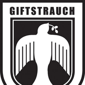 Giftstrauch