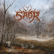 Saor: Forgotten Paths