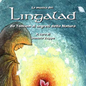 Lingalad raccolta 2000-2007
