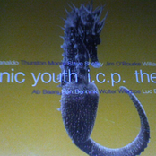 sonic youth / icp / the ex