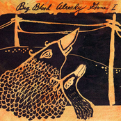 Breath In A Seed by Big Blood