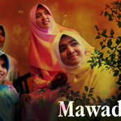 mawaddah