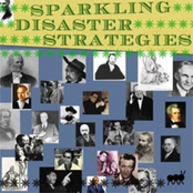 Sparking Disaster Strategies