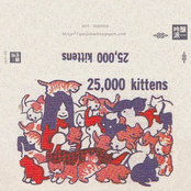 25,000 Kittens