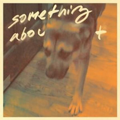 something about dogs