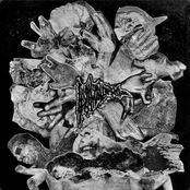 Triad of Gore