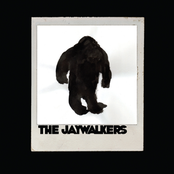 The Jaywalkers