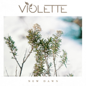 Violette: New Dawn