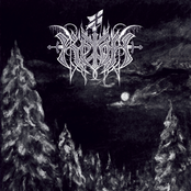 Children of Northern Sun