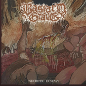 Necrotic Ecstasy - Single