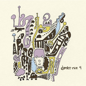 Damien Rice: 9