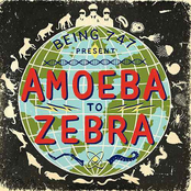 Amoeba to Zebra