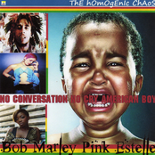 "No Conversation No Cry American Boy (Bob Marley vs. Pink vs. Estelle)