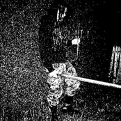 Ich sehe was, was du nicht siehst