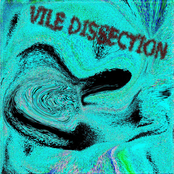 Vile Dissection