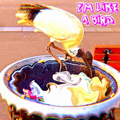 I'm Like a Bird