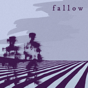 Primrose: Fallow