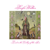 Lost In The Valley Of The Sun