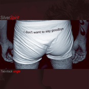 I don't want to say goodbye - two-track single