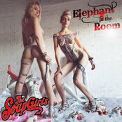 The SoapGirls: Elephant In The Room