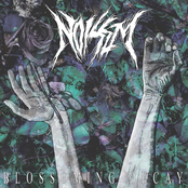 Noisem: Blossoming Decay