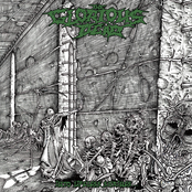 Into Lifeless Shrines