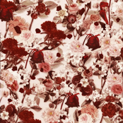 Always Love featuring Hyunjin (Stray Kids)