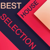 Island House: Best House Selection
