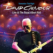 Wearing The Inside Out by David Gilmour