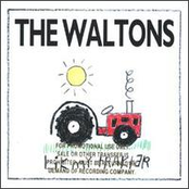 The Naked Rain by The Waltons