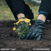 All die schönen Worte
