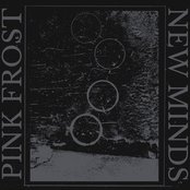 Pink Frost - New Minds Artwork