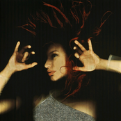 Tori Amos: From the Choirgirl Hotel