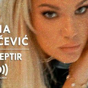 Crni leptir