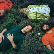 Animal Collective 的头像