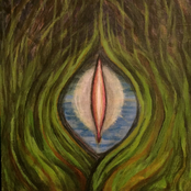 Into the Dragon's Lair