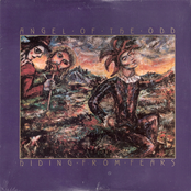 Hiding From Fears LP