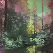 Telegrams For Our Council Oak