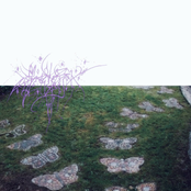 i look up, intertwined