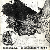 Social Dissection
