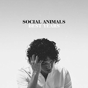 Social Animals: Best Years