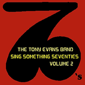 Sing Something Seventies, Volume 2