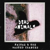 Dead Animals