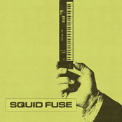 Squid Fuse