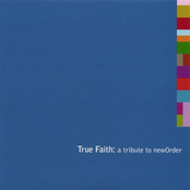 True Faith: A Tribute To New Order