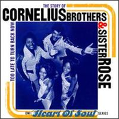 Let Me Down Easy by Cornelius Brothers & Sister Rose