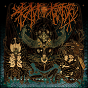 Common Forms of Torture