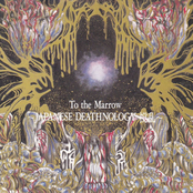 To The Marrow - Japanese Deathnology